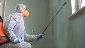 Professional Mold Prevention & Removal  in Hernando Beach, FL